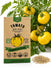 Tomato Yellow Stuffer Seeds