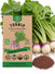 Turnip Seeds - Organo Republic