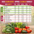 Vegetable Seeds Variety Pack Organo Republic