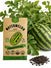 Watermelon Jubilee Seeds