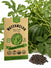 Watermelon Sugar Baby Seeds