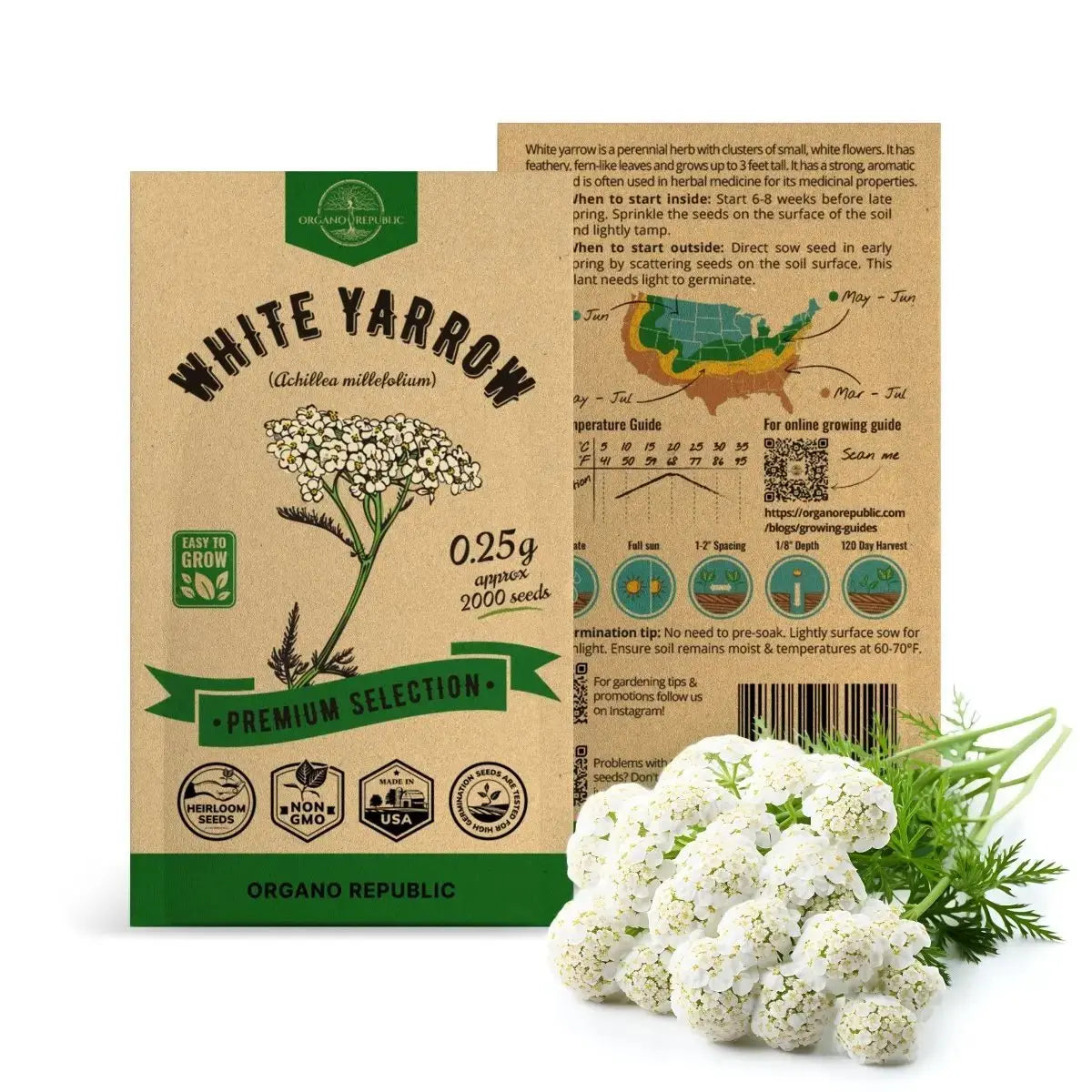 White Yarrow Seeds Pack 0.25G - Organo Republic seeds store White Yarrow Seeds Pack 0.25G
