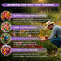 Zinnia Seeds Pack Organo Republic