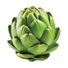 Artichoke Green Globe - 2G