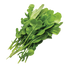 Arugula Roquette - 5G