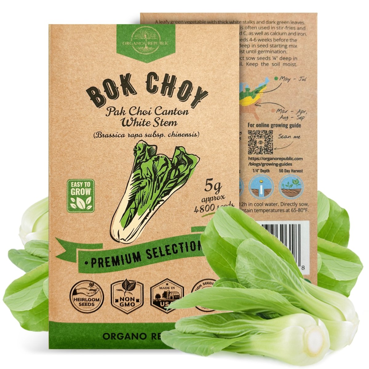 Bok Choy Seeds Pack 5G - Organo Republic seeds store Bok Choy Seeds Pack 5G