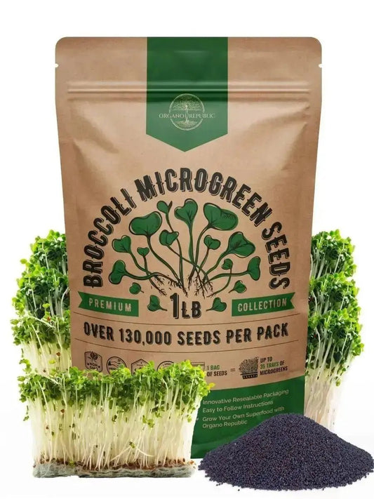 Broccoli Sprouting & Microgreens Seeds 1lb - Over 130 000 Non - GMO, Heirloom Seeds - Organo Republic 900