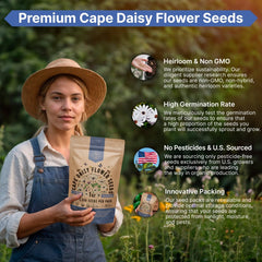 Cape Daisy Flower Seeds Pack 1 oz - Organo Republic seeds store Cape Daisy Flower Seeds Pack 1 oz