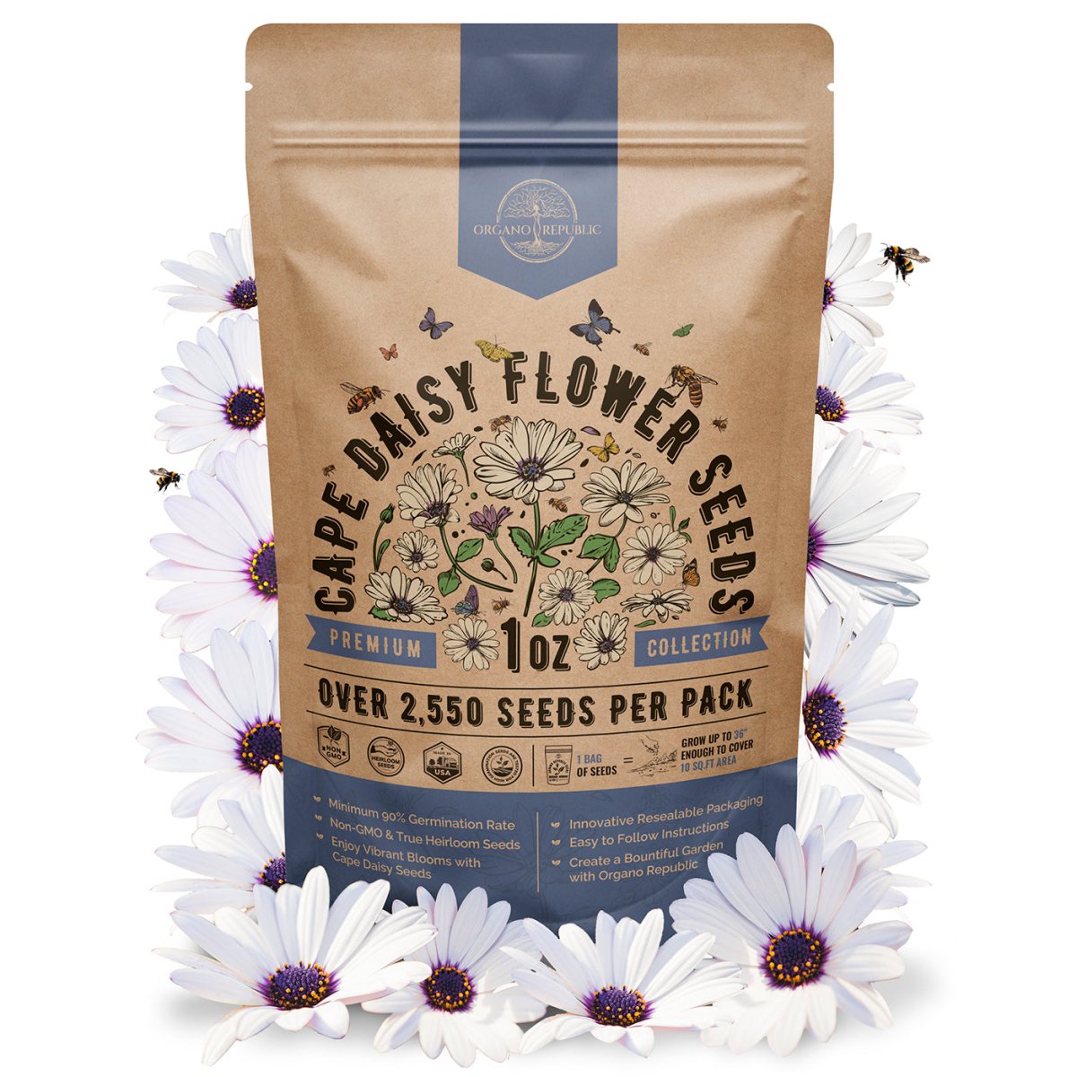 Cape Daisy Flower Seeds Pack 1 oz - Organo Republic seeds store Cape Daisy Flower Seeds Pack 1 oz