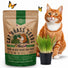 Cat Grass Seeds Mix - 20,800 Non - GMO Heirloom Seeds for Cats & Pets, 16 oz Pack for Growing Fresh Barley, Oat, Rye & Wheat Grass Seeds for Planting, Indoor Plants for Pets, Hairball Remedy for Cats - Organo Republic