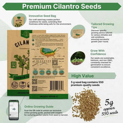 Cilantro Seeds Pack 5G - Organo Republic seeds store Cilantro Seeds Pack 5G
