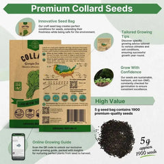 Collard Georgia Southern Seeds Pack 5G - Organo Republic seeds store Collard Georgia Southern Seeds Pack 5G