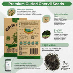 Curled Chervil Seeds Pack 2G - Organo Republic seeds store Curled Chervil Seeds Pack 2G