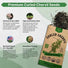 Curled Chervil Seeds Pack 2 G - 750 Non - GMO Heirloom Chervil Seeds for Planting Herbs in Individual Seed Packet, Herb Seeds for Planting Home Garden Indoor & Outdoor Gardening - Organo Republic