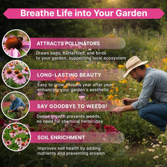 Echinacea Seeds Pack 1 oz - Organo Republic seeds store Echinacea Seeds Pack 1 oz