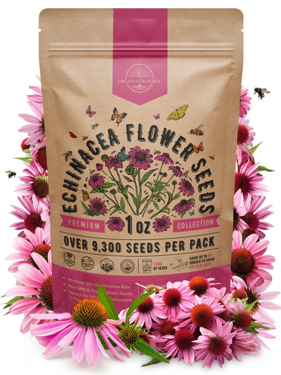 Echinacea Seeds Pack 1 oz - Organo Republic seeds store Echinacea Seeds Pack 1 oz