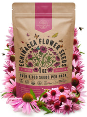 Echinacea Seeds Pack 1 oz - Organo Republic seeds store Echinacea Seeds Pack 1 oz