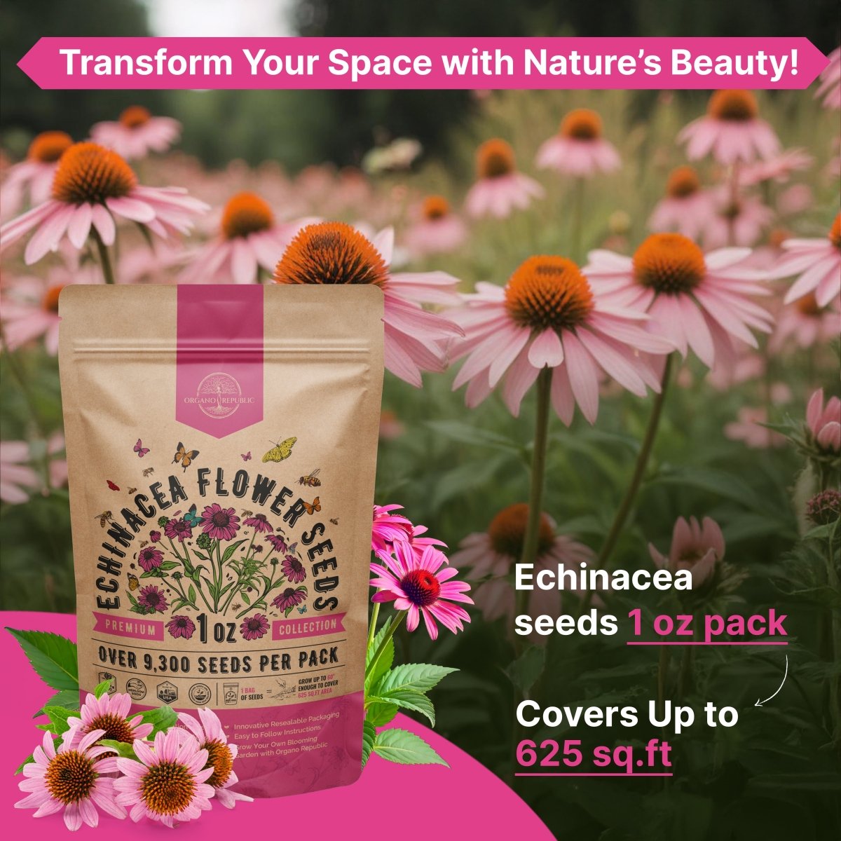 Echinacea Seeds Pack 1 oz - Organo Republic seeds store Echinacea Seeds Pack 1 oz