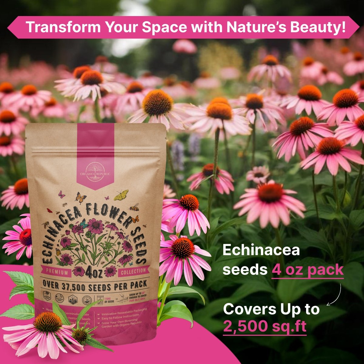 Echinacea Seeds Pack 4 oz - Organo Republic seeds store Echinacea Seeds Pack 4 oz