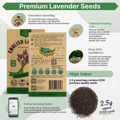 English Lavender Seeds Pack 2.5G - Organo Republic seeds store English Lavender Seeds Pack 2.5G