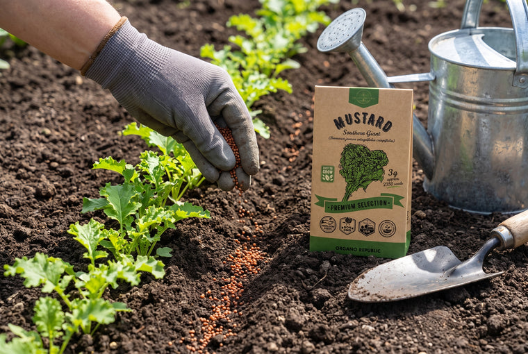 Direct-sow mustard a quarter inch deep, right where it will grow.