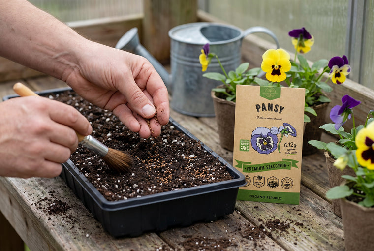 Start pansy seeds in trays and cover them, since they need darkness to sprout.
