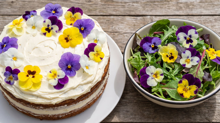 Fresh pansy blooms brighten cakes, salads, and drinks.