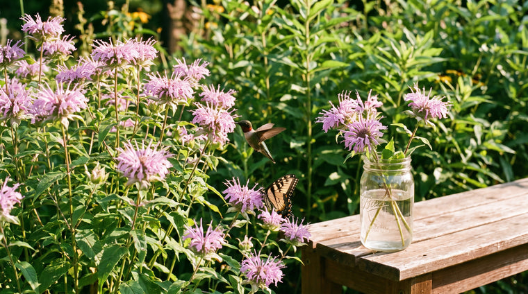 A magnet for hummingbirds, bees, and butterflies all summer long.