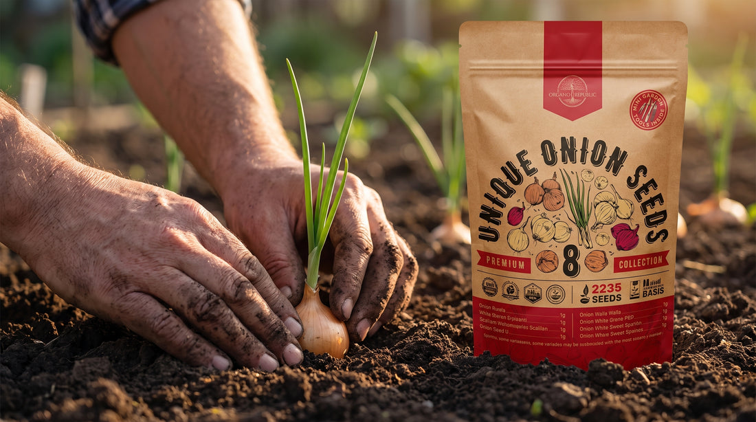 Start onion seeds indoors early, then transplant the young seedlings out into rich, sunny soil.