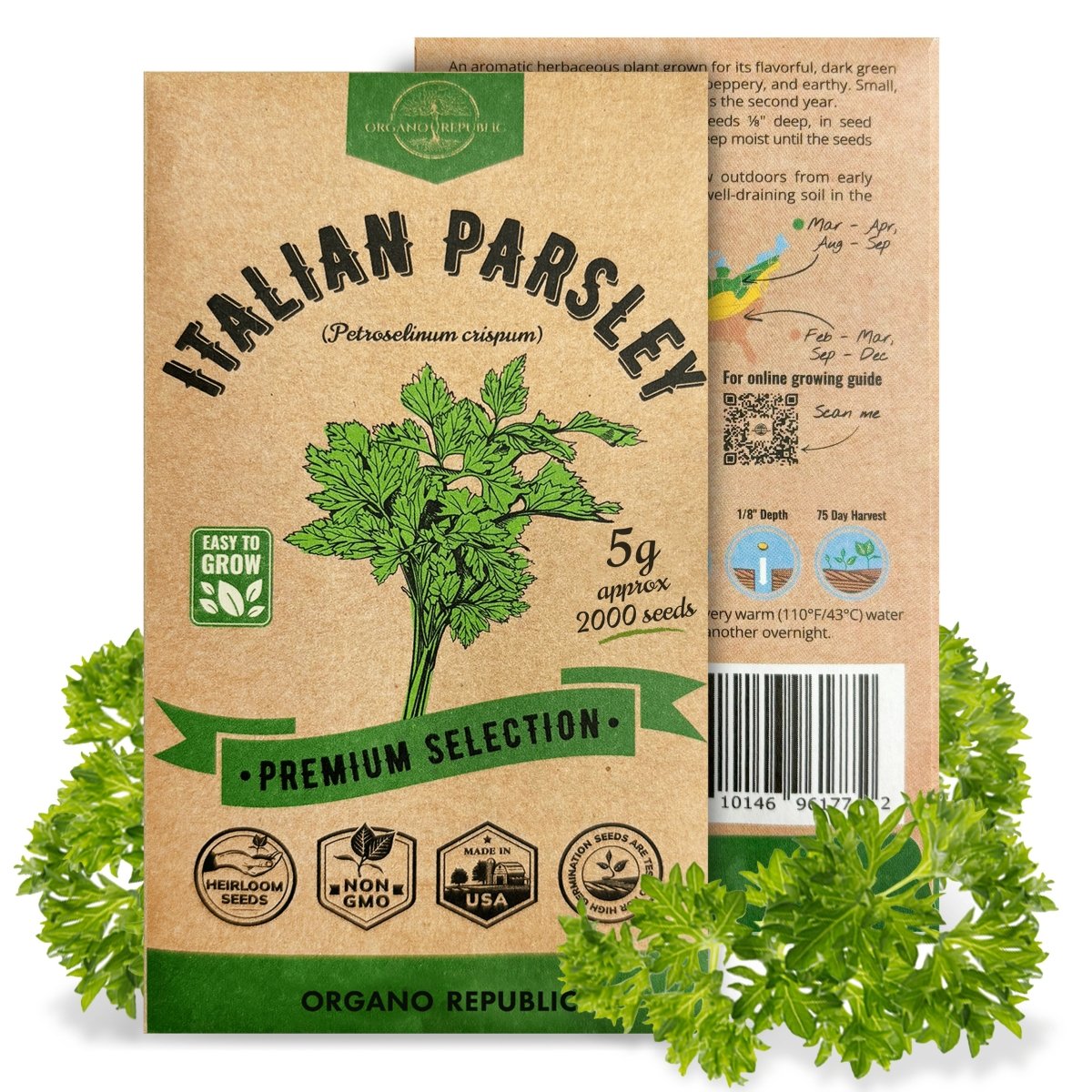 Italian Parsley Seeds Pack 5G - Organo Republic seeds store Italian Parsley Seeds Pack 5G