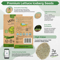 Lettuce Iceberg Seeds Pack 3G - Organo Republic seeds store Lettuce Iceberg Seeds Pack 3G