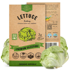Lettuce Iceberg Seeds Pack 3G - Organo Republic seeds store Lettuce Iceberg Seeds Pack 3G
