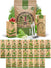 25 Winter Vegetable & Herb Seeds Variety Pack