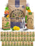 35 Medicinal & Tea Herb Seeds Variety Pack