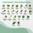 50 Winter Vegetable Garden Seeds Variety Pack
