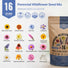 16 Perennial Wildflower Seed Mix 1 oz