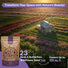 23 Birds & Butterflies Wildflower Seed Mix 1 oz