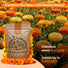 Calendula Seeds 4oz