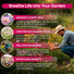Cosmos Seeds 4oz