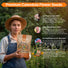 Calendula Seeds 1oz