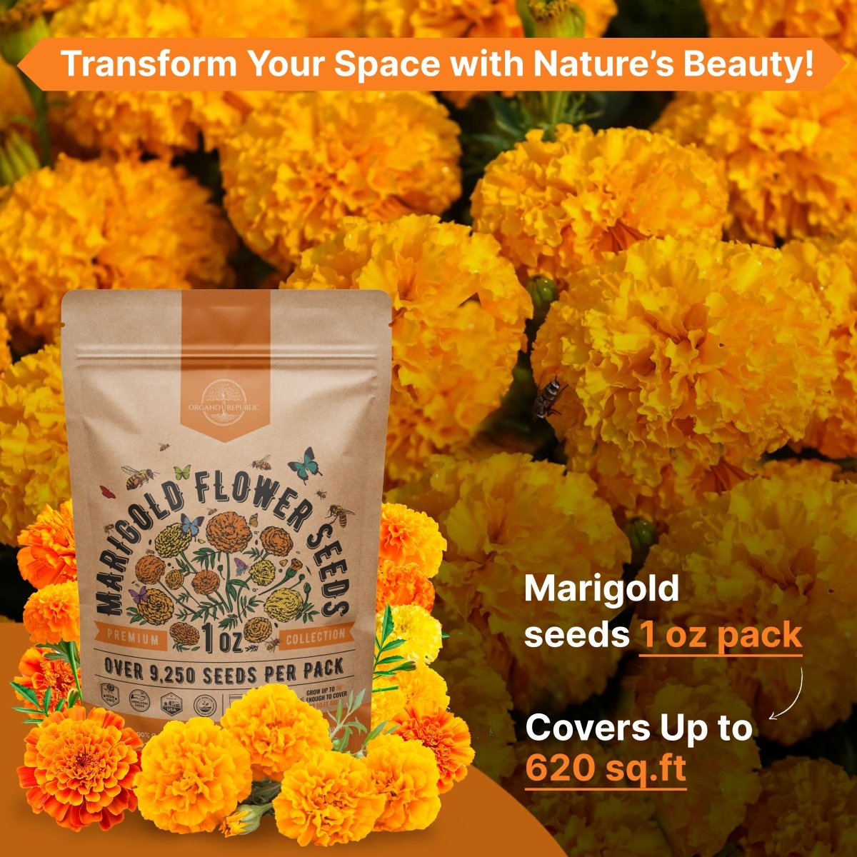 Marigold Seeds Pack 1 oz - Organo Republic seeds store Marigold Seeds Pack 1 oz