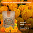 Marigold Seeds Pack 1 oz - Over 9,250 Non - GMO Heirloom Marigold Seeds for Planting Indoor & Outdoor Gardening, Marigold Flower Seeds for Planting Home and Garden, Flowers Seeds in Individual Packet - Organo Republic