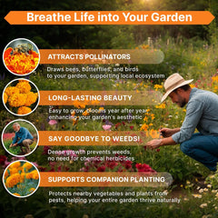 Marigold Seeds Pack 4 oz - Organo Republic seeds store Marigold Seeds Pack 4 oz