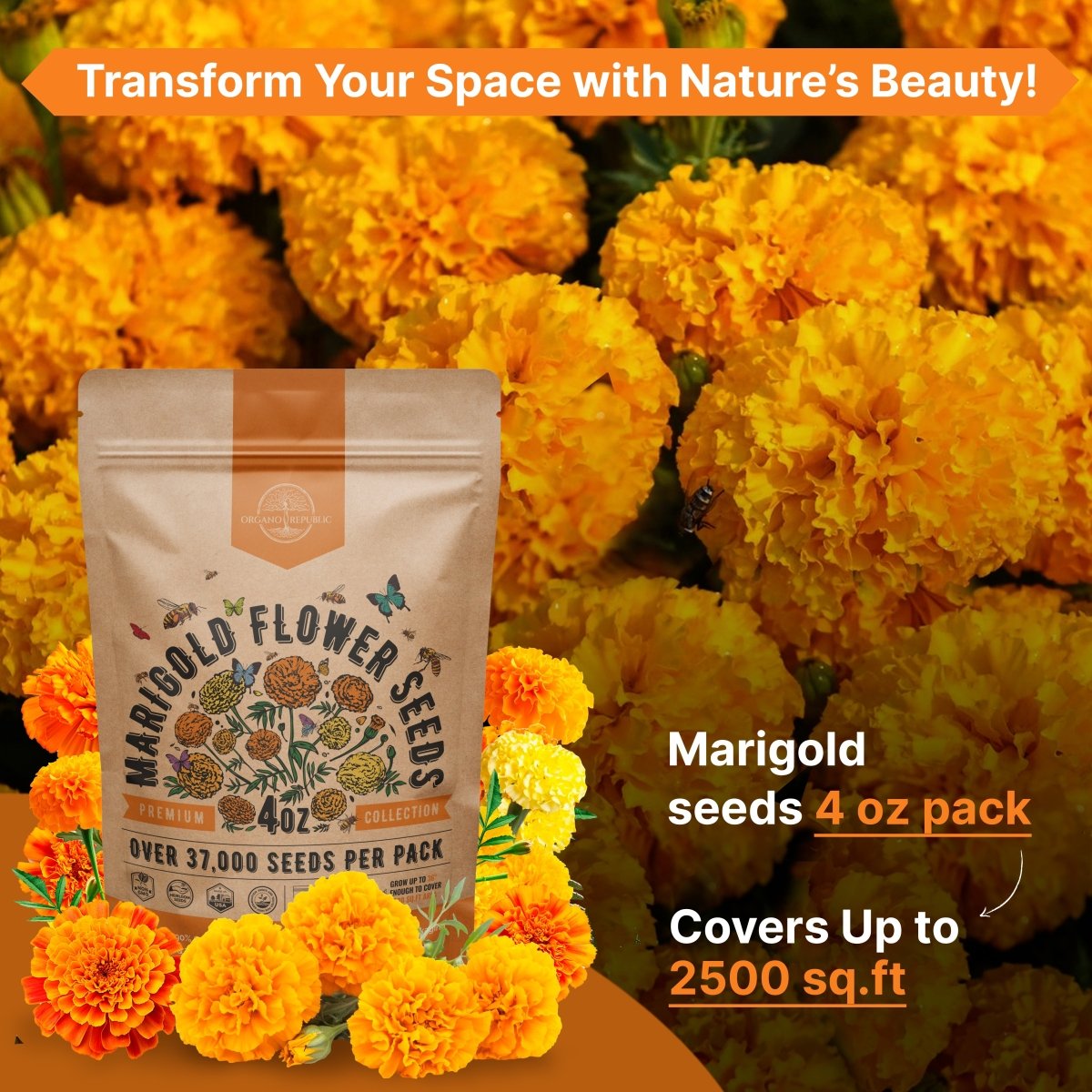 Marigold Seeds Pack 4 oz - Organo Republic seeds store Marigold Seeds Pack 4 oz