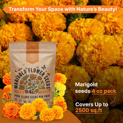 Marigold Seeds Pack 4 oz - Organo Republic seeds store Marigold Seeds Pack 4 oz