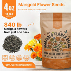 Marigold Seeds Pack 4 oz - Organo Republic seeds store Marigold Seeds Pack 4 oz