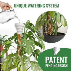 Moss Pole Monstera Plant Support Stakes - 2x26.4 or 48.7 Moss Pole Monstera Plant Support Stakes - 2x26.4 or 48.7