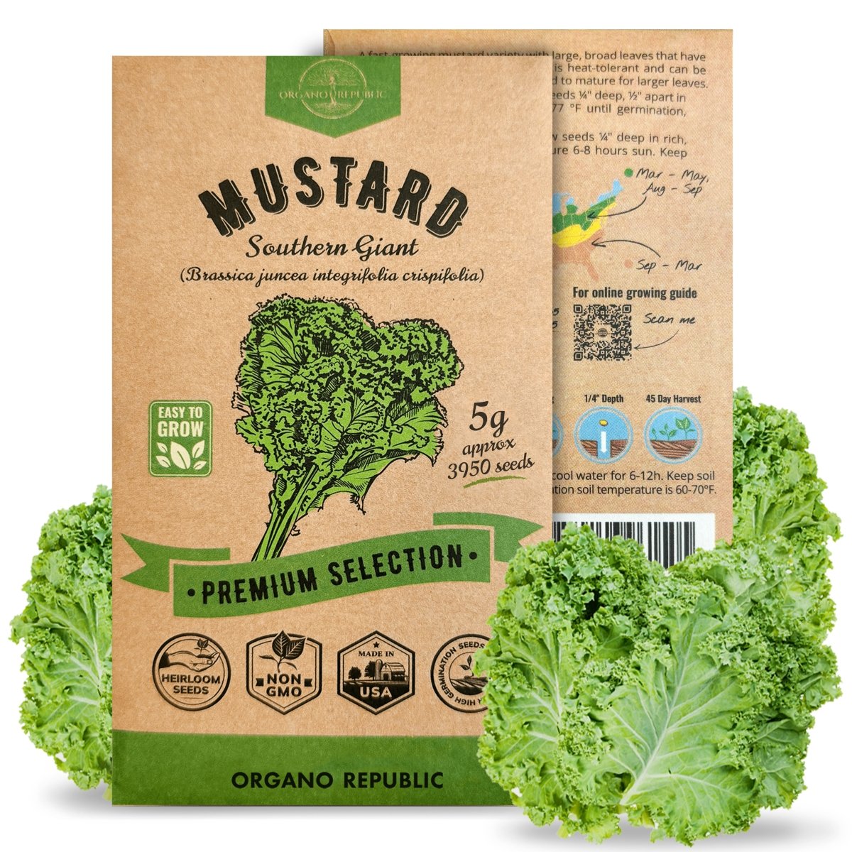 Mustard Southern Giant Seeds Pack 5G - Organo Republic seeds store Mustard Southern Giant Seeds Pack 5G