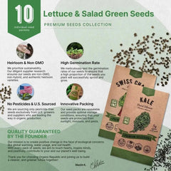 10 Lettuce & Salad Greens Seeds Variety Pack - Organo Republic seeds store 10 Lettuce & Salad Greens Seeds Variety Pack
