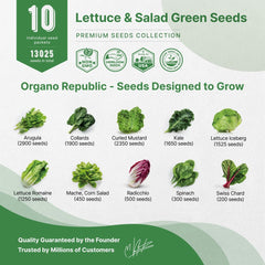 Organo Republic 10 Lettuce & Salad Greens Seeds Variety Pack 13,000+ Non-GMO Heirloom Lettuce Seeds for Planting Indoors & Outdoors Garden, Hydroponics - Arugula, Radicchio, Kale, Spinach, Swiss Chard - Organo Republic